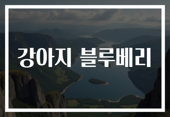 강아지 블루베리