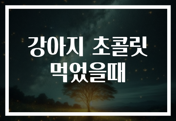 강아지 초콜릿 먹었을때