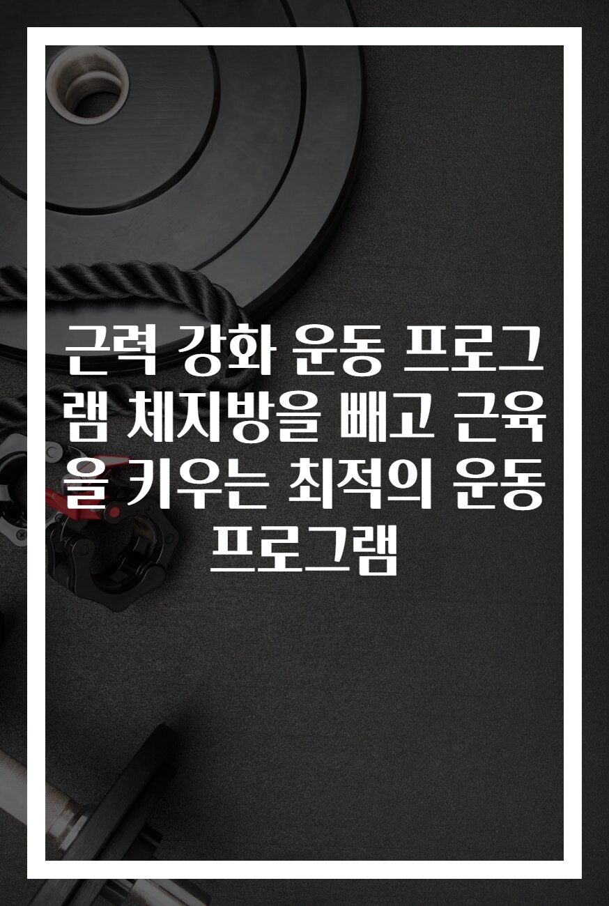 근력 강화 운동 프로그램 체지방을 빼고 근육을 키우는 최적의 운동 프로그램