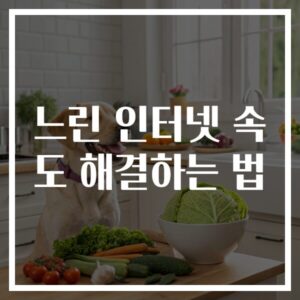 느린 인터넷 속도 해결하는 법