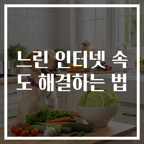 느린 인터넷 속도 해결하는 법