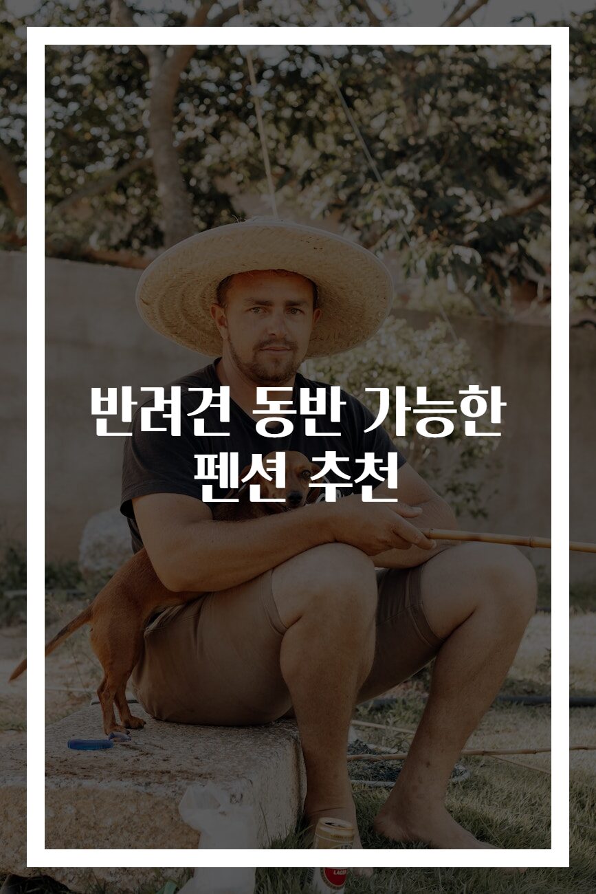 반려견 동반 가능한 펜션 추천