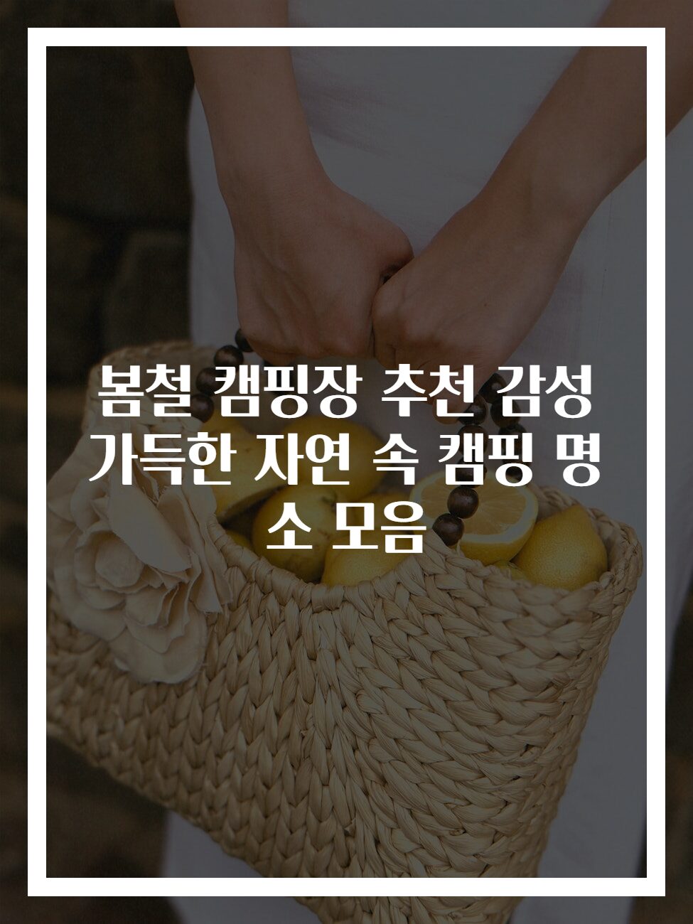 봄철 캠핑장 추천 감성 가득한 자연 속 캠핑 명소 모음