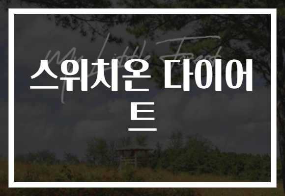 스위치온 다이어트