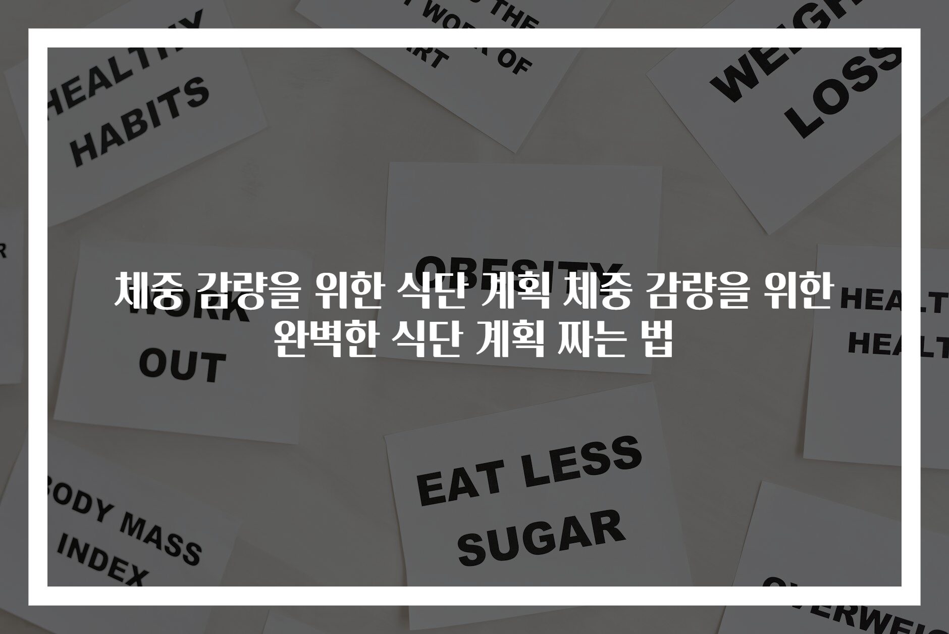 체중 감량을 위한 식단 계획 체중 감량을 위한 완벽한 식단 계획 짜는 법