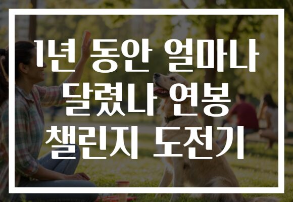 1년 동안 얼마나 달렸나 연봉 챌린지 도전기