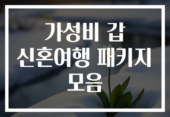 가성비 갑 신혼여행 패키지 모음