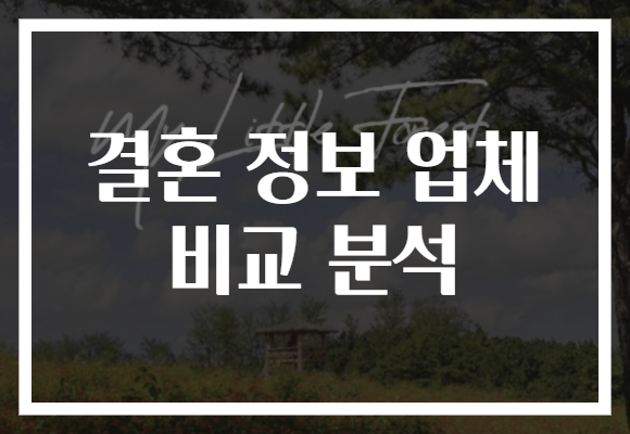 결혼 정보 업체 비교 분석