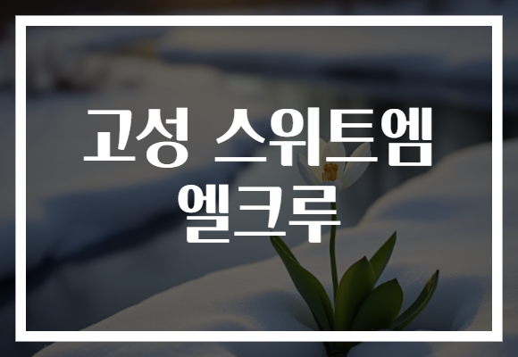 고성 스위트엠 엘크루