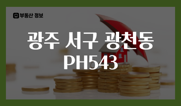광주 서구 광천동 PH543