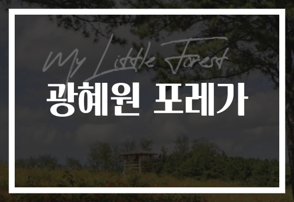 광혜원 포레가