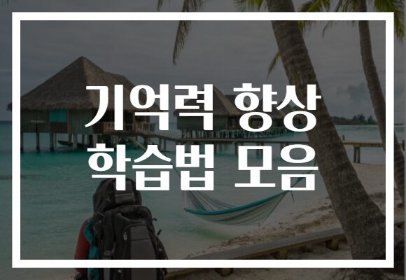 기억력 향상 학습법 모음