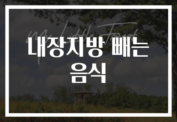 내장지방 빼는 음식