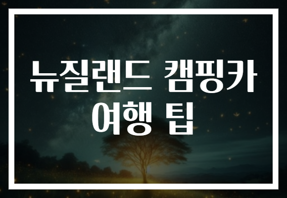 뉴질랜드 캠핑카 여행 팁