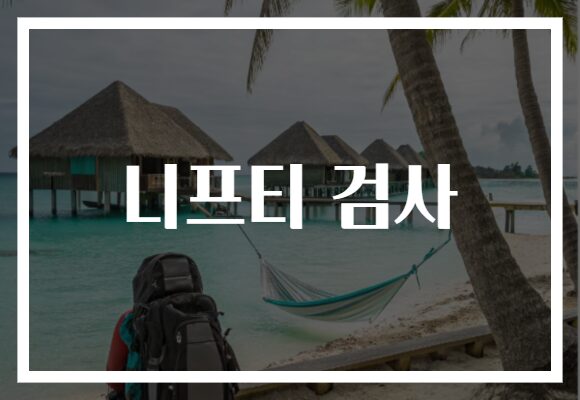 니프티 검사
