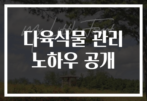 다육식물 관리 노하우 공개