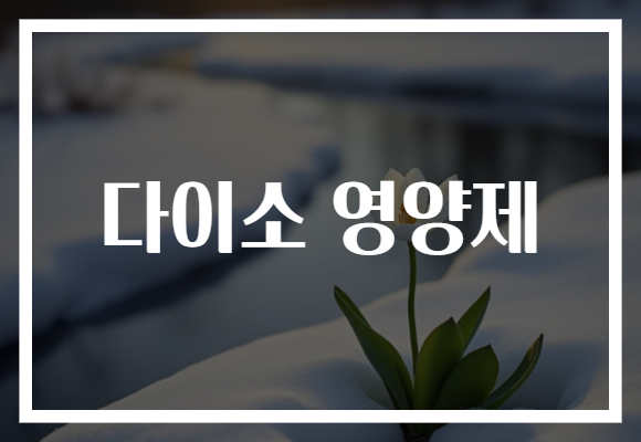 다이소 영양제