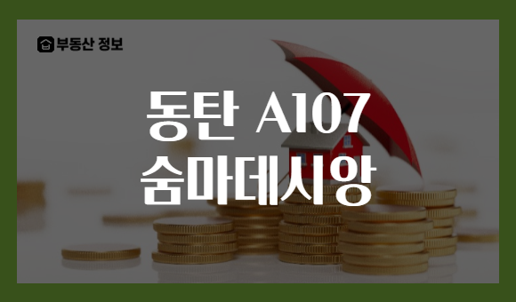동탄 A107 숨마데시앙