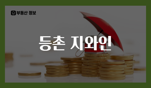 등촌 지와인