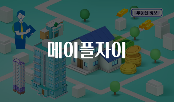 메이플자이