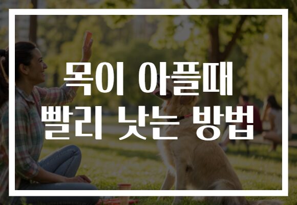 목이 아플때 빨리 낫는 방법
