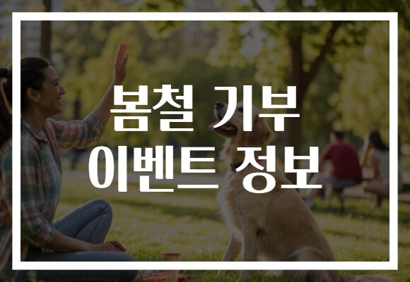 봄철 기부 이벤트 정보
