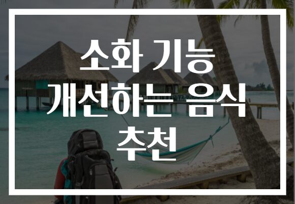 소화 기능 개선하는 음식 추천