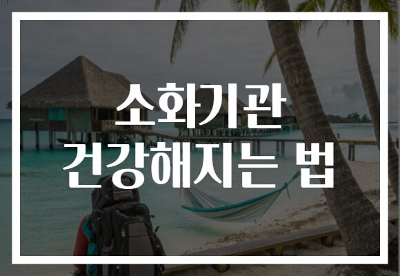 소화기관 건강해지는 법