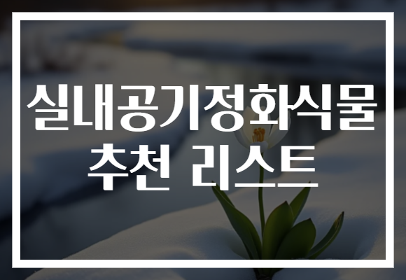 실내공기정화식물 추천 리스트