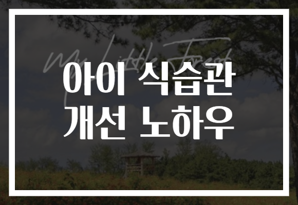 아이 식습관 개선 노하우