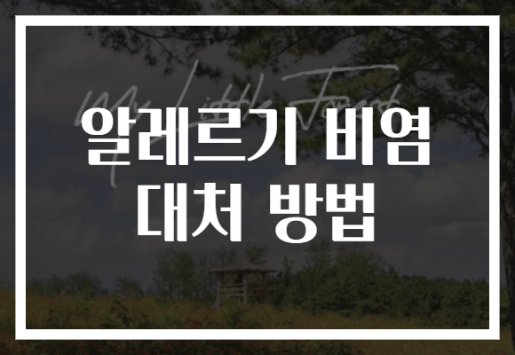 알레르기 비염 대처 방법