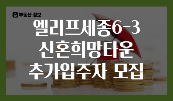 엘리프세종6-3 신혼희망타운 추가입주자 모집
