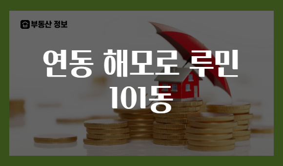 연동 해모로 루민 101동