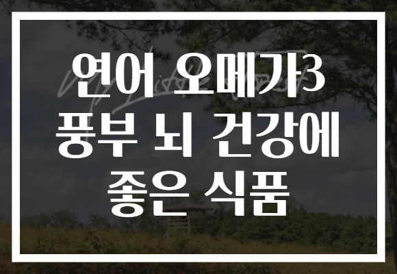 연어 오메가3 풍부 뇌 건강에 좋은 식품