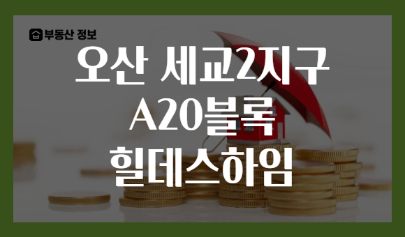 오산 세교2지구 A20블록 힐데스하임
