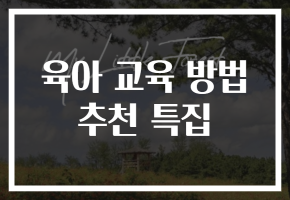 육아 교육 방법 추천 특집