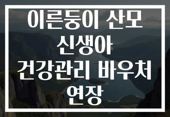 이른둥이 산모 신생아 건강관리 바우처 연장