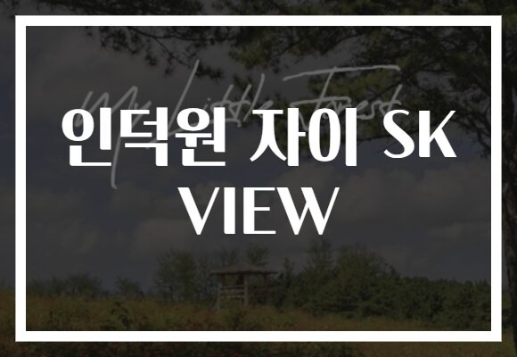 인덕원 자이 SK VIEW