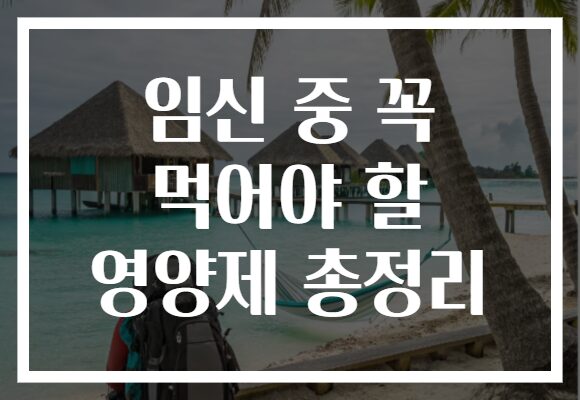 임신 중 꼭 먹어야 할 영양제 총정리