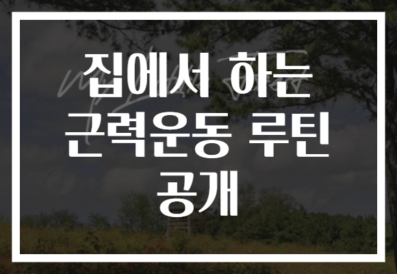 집에서 하는 근력운동 루틴 공개