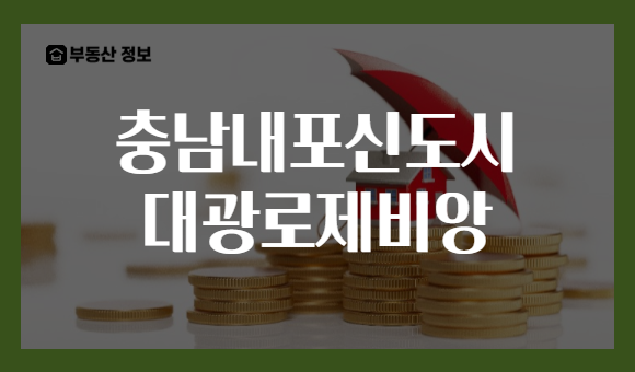 충남내포신도시 대광로제비앙