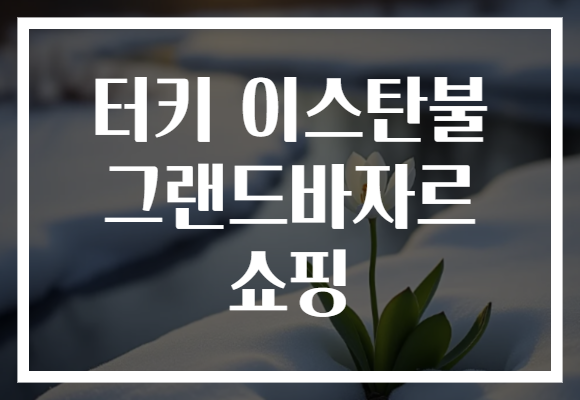 터키 이스탄불 그랜드바자르 쇼핑