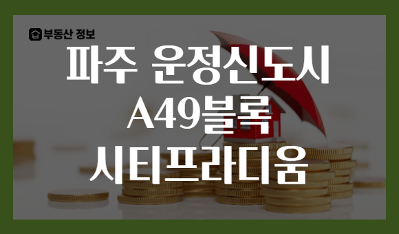 파주 운정신도시 A49블록 시티프라디움