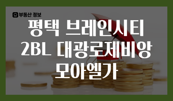 평택 브레인시티 2BL 대광로제비앙 모아엘가