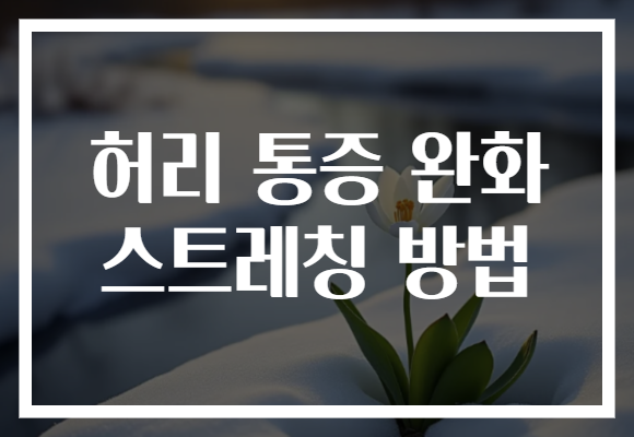 허리 통증 완화 스트레칭 방법