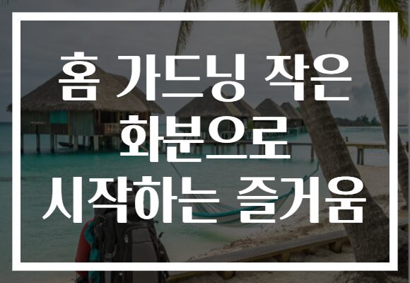 홈 가드닝 작은 화분으로 시작하는 즐거움