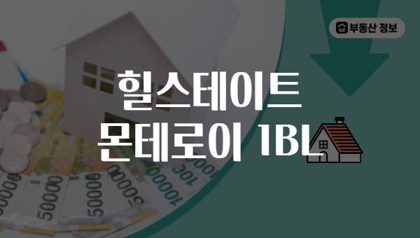 힐스테이트 몬테로이 1BL