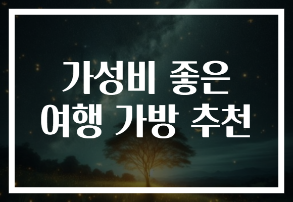 가성비 좋은 여행 가방 추천