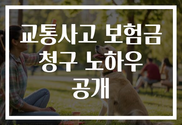 교통사고 보험금 청구 노하우 공개