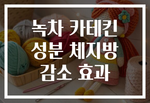 녹차 카테킨 성분 체지방 감소 효과